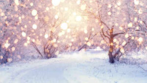 winter-solstice-2025-understanding-the-meaning-behind-the-shortest-day-of-the-year-know-the-date-time-and-everything-you-need-to-know.jpg