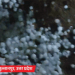 IMD Weather Update Today up MP rain himachal jammu Kashmir snowfall alert