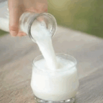 सेना ने लौटाया पंजाब का दूध, वेरका के सैंपल फेल:कहा- 7 दिन में वापस ले जाएं; विवाद बढ़ा तो सरकार ने जांच कमेटी बनाई