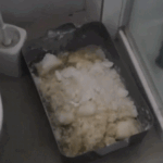 इंदिरा के हत्यारे का भतीजा निकाला न्यूजीलैंड का बड़ा ड्रग-तस्कर:22 साल की सजा हो चुकी, दावा- पहचान छुपाने की याचिका वापस ली