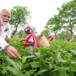 पीएम मोदी ने असम के चाय बगान में पत्ती तोड़ी:महिला कामगारों के साथ सेल्फी ली; केरलम में राहुल ने बस में सफर किया…11 PHOTOS