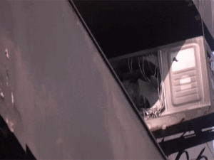 17_1777778402.gif
