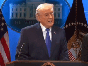 191772743024_1778212752.gif