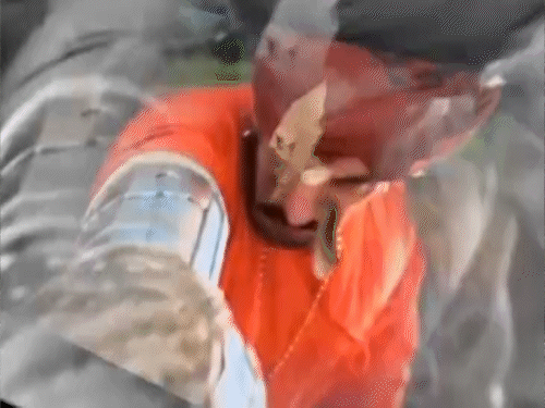 comp-14-7_1777621030.gif