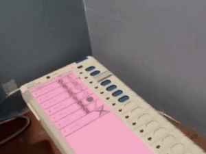 comp-173-21777444828_1777767286.gif