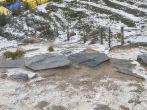 comp-92-1_1777978993.gif