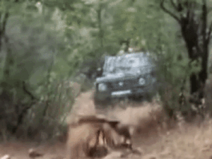 ezgifcom-animated-gif-maker-2026-04-30t225601001_1777569979.gif