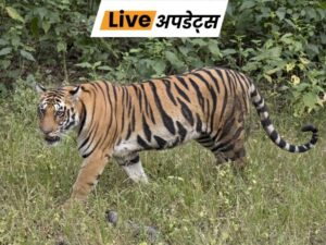 live-update-centre-46_1778459630.jpg