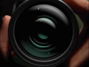 x3-ezgifcom-resize_1777743355.gif